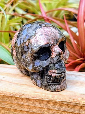 Medium Que Sera Skull Carving