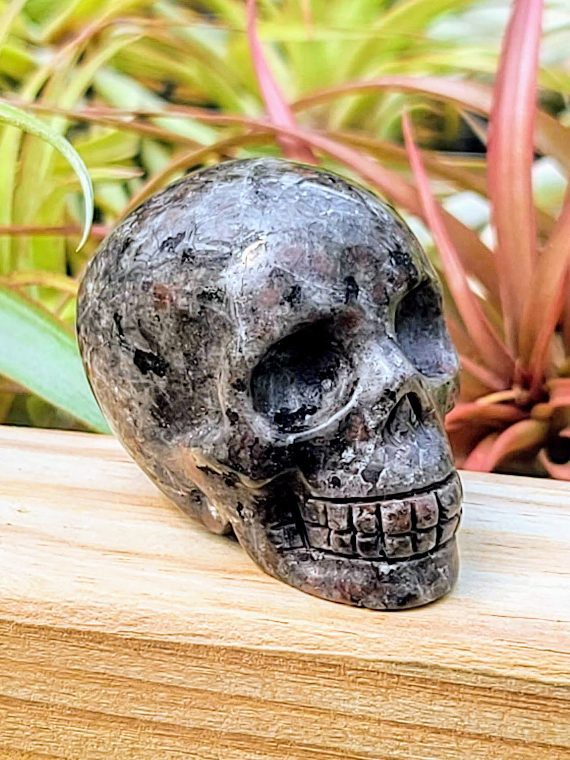 Medium Yooperlite Skull Carving