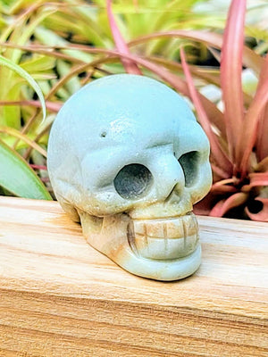 Medium Caribbean Calcite Skull Carving
