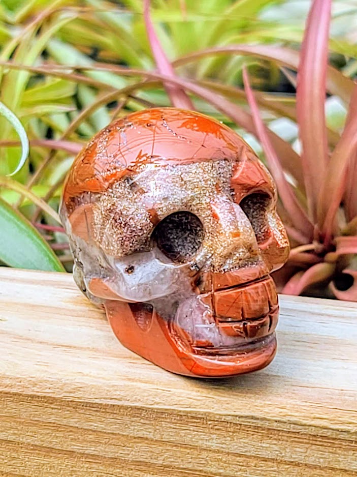 Medium Red Jasper Skull Carving