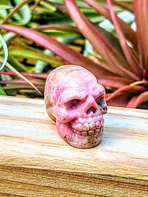 Mini Rhodonite Skull Carving