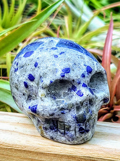 Lapis deals lazuli skull