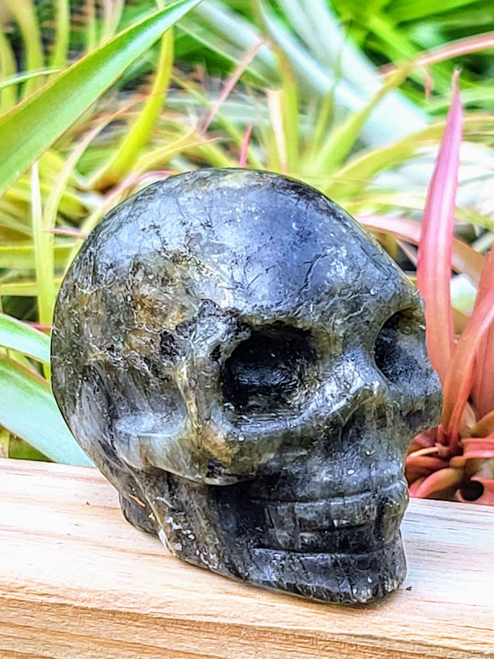 Large Labradorite Skull Carving