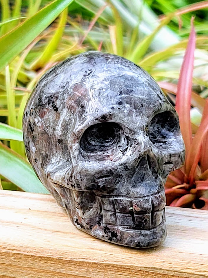 Large Yooperlite Skull Carving