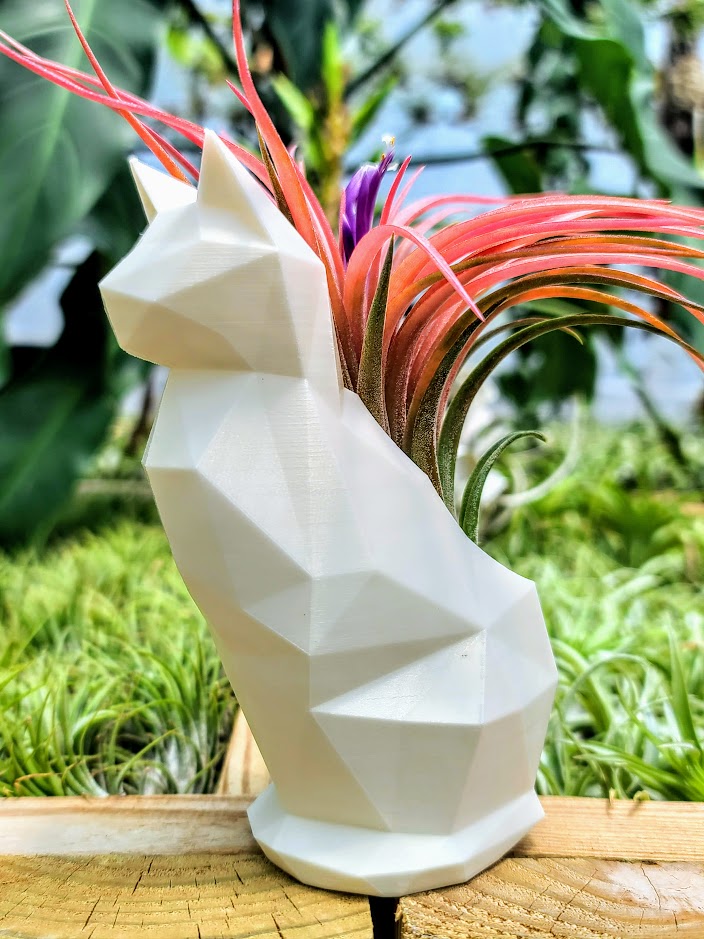 cat air plant holder Large Pearl White Cat 3D Printed Holder w/ Victoriana