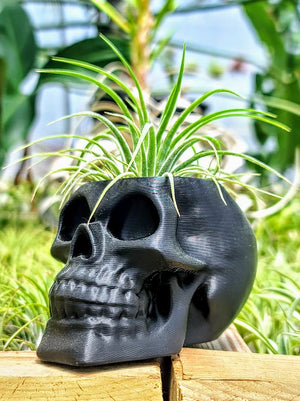 Solid Black Skull 3D Printed Holder w/ Ionantha Druid