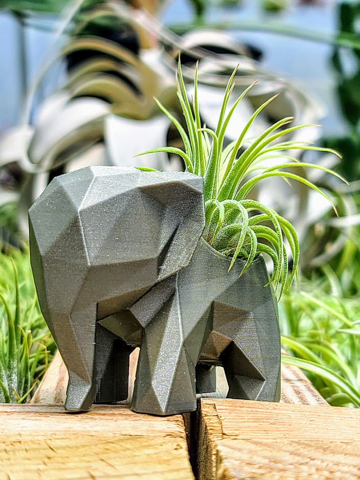 elephant air plant Medium Elephant 3D Printed Holder w/ Ionantha