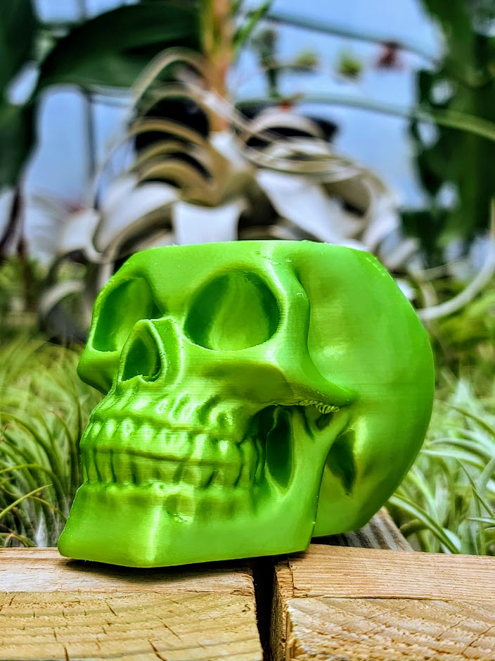 Green Skull 3D Printed Holder