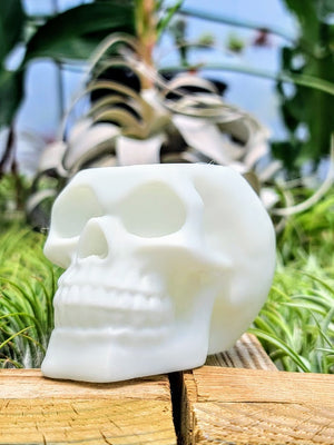 Glow In The Dark Skull 3D Printed Holder w/ Ionantha Druid