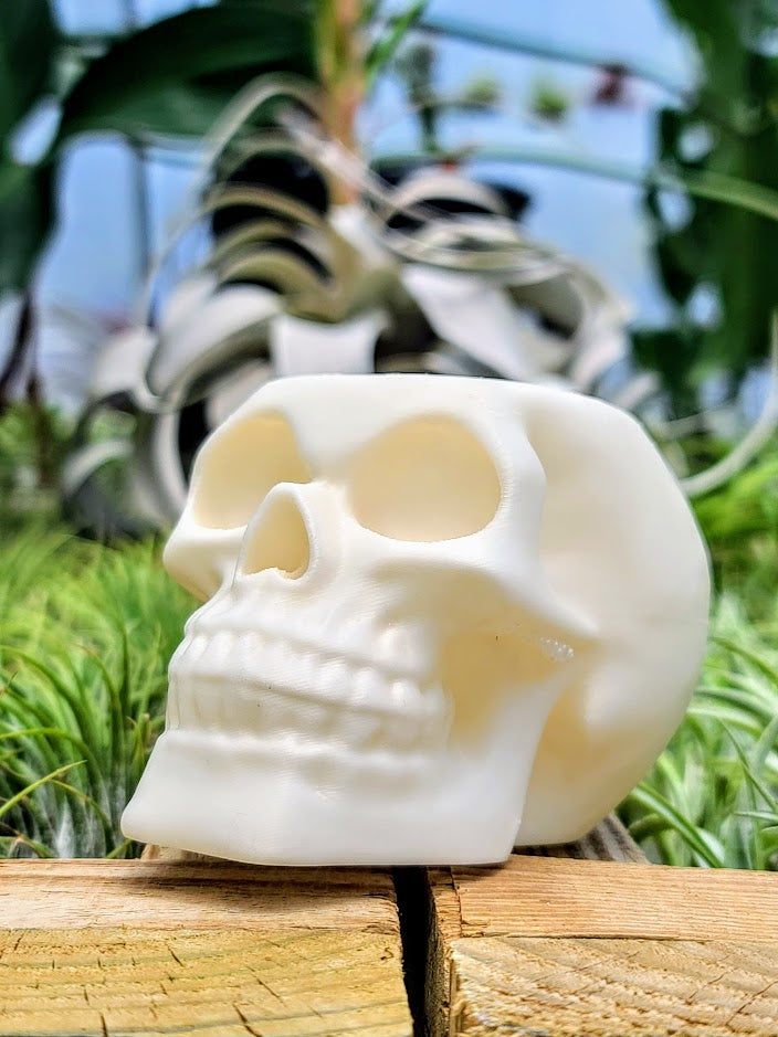 Pearl White Skull 3D Printed Holder
