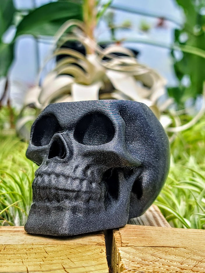 black skull plant pot Sparkly Black Skull 3D Printed Holder w/ Ionantha Druid