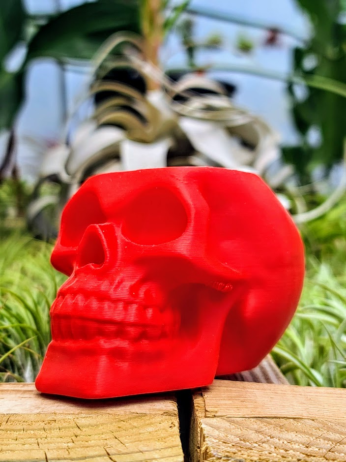 Red Skull 3D Printed Holder w/ Ionantha Druid