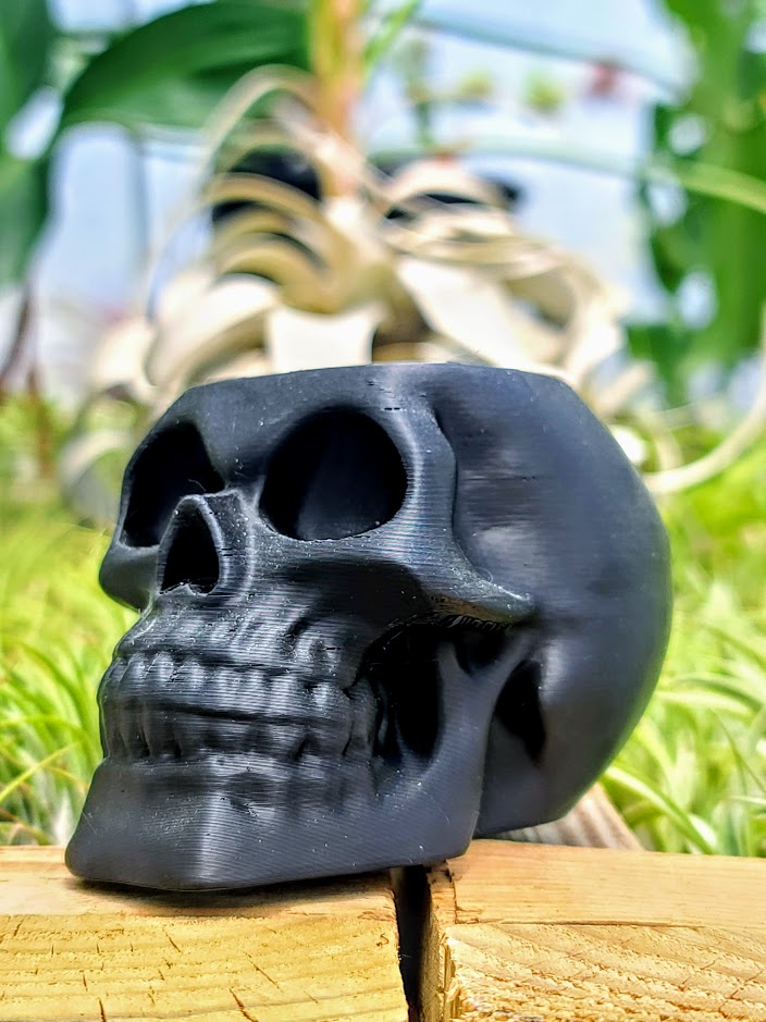 large skull planter pot Solid Black Skull 3D Printed Holder w/ Ionantha Druid
