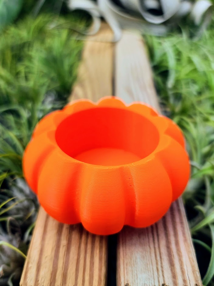 Small Orange Pumpkin 3D Printed Holder w/ Streptophylla Hybrid