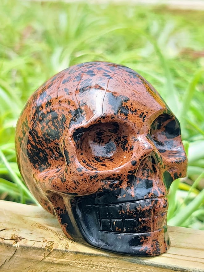 Large Mahogany Obsidian Skull Carving