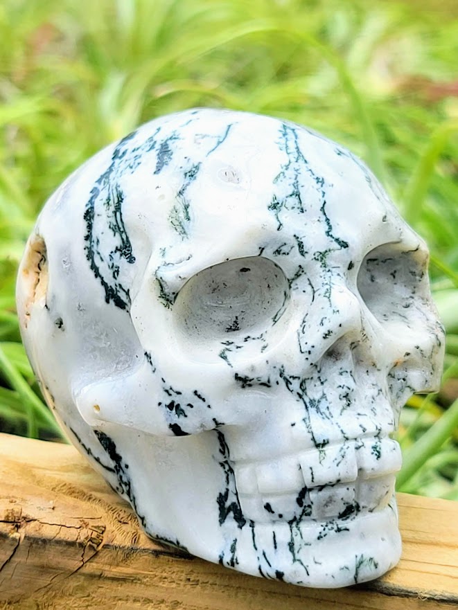 Large Tree Agate Skull Carving