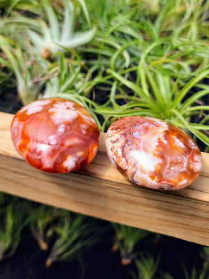 Red Flower Agate Crystal Palm Stone