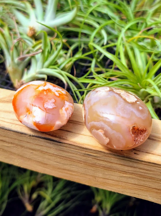 crystal palm plant Red Flower Agate Crystal Palm Stone