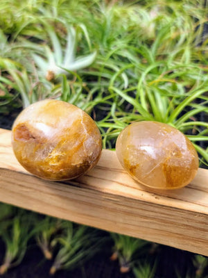 Golden Healer Crystal Palm Stone