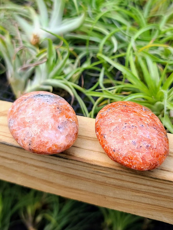 crystal palm plant Sunstone Crystal Palm Stone