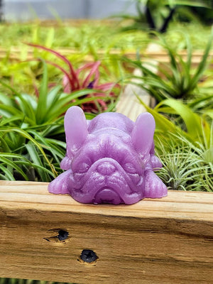 Frenchie Luminous Carving