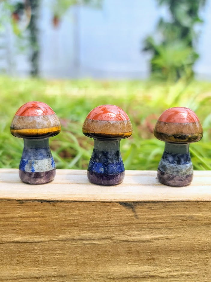 Small Chakra Crystal Mushroom