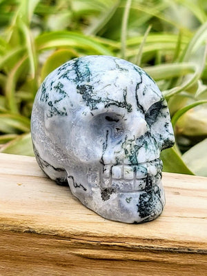 Medium Tree Agate Skull Carving