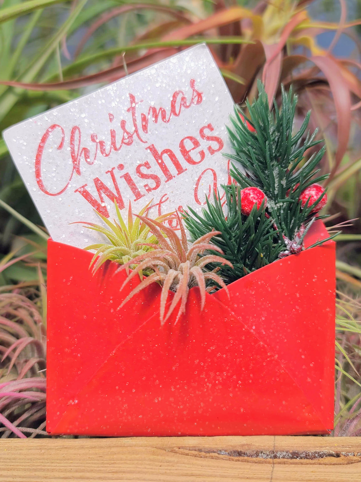 Christmas Card Air Plant Holder with Two Ionantha Mexicans