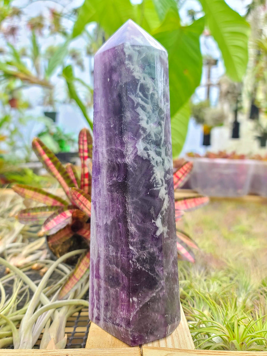 WYSIWYG- Purple Fluorite Tower
