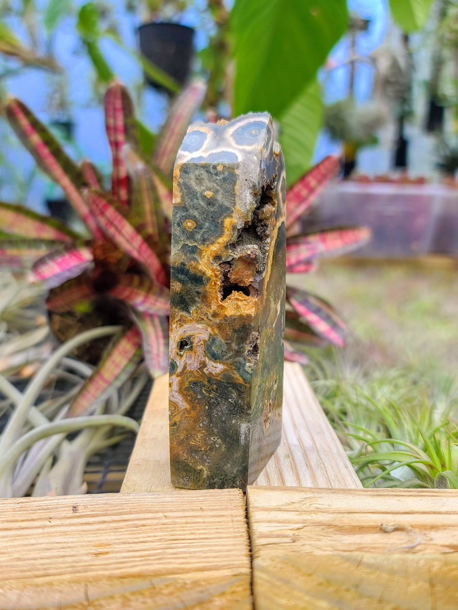 WYSIWYG- Ocean Jasper Tower