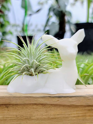 Small Deer 3D Printed Holder w/ Ionantha
