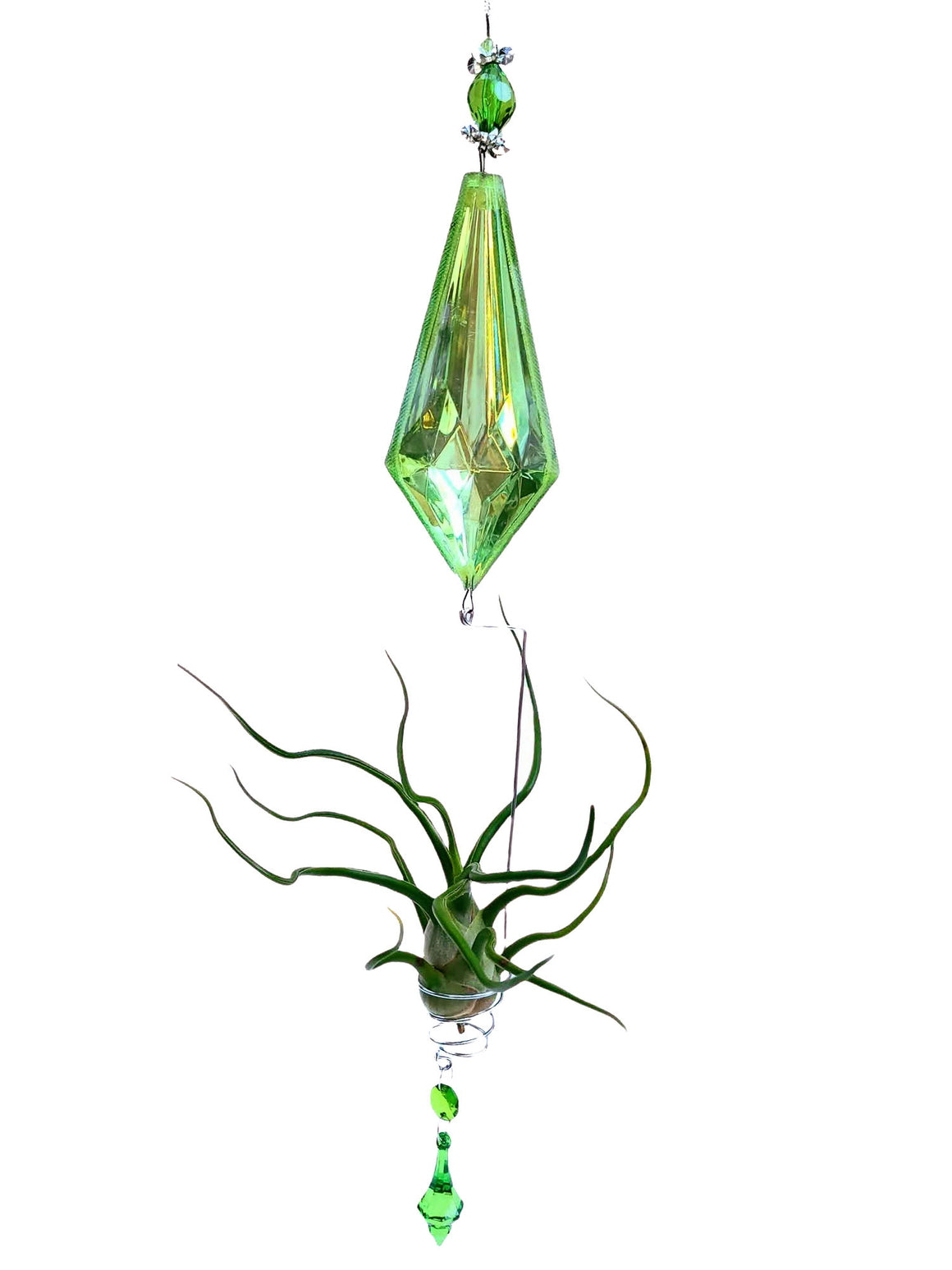 Beaded Air Plant Hanger 17" with Bulbosa Belize