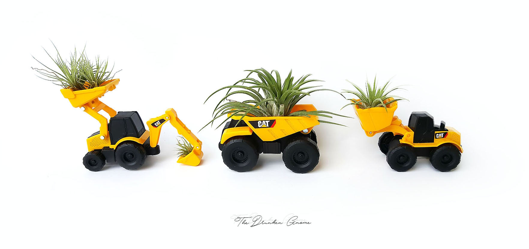 drunken gnome air plant care Air Plant Variety Pack (3, Small 1-2")