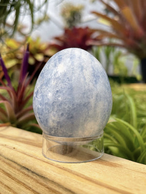 Celestite Crystal Egg - Sellers Choice