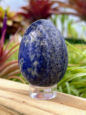 WYSIWYG Lapis Lazuli Crystal Egg