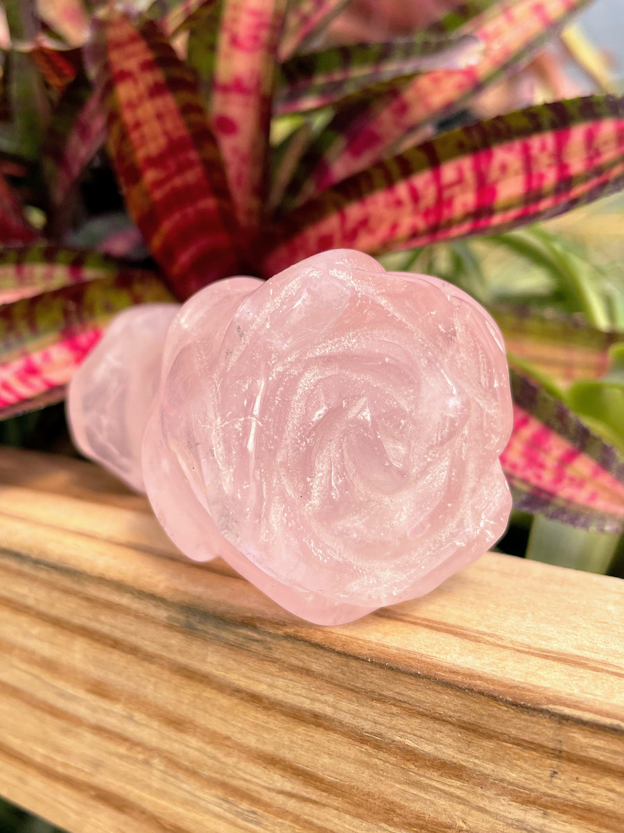 WYSIWYG Rose Quartz Crystal Rose Carving