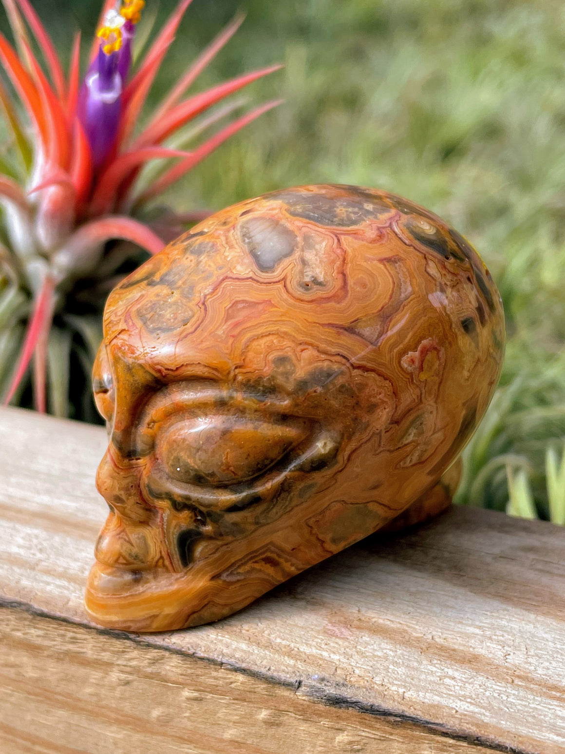Crazy Lace Agate Alien Skull Carving