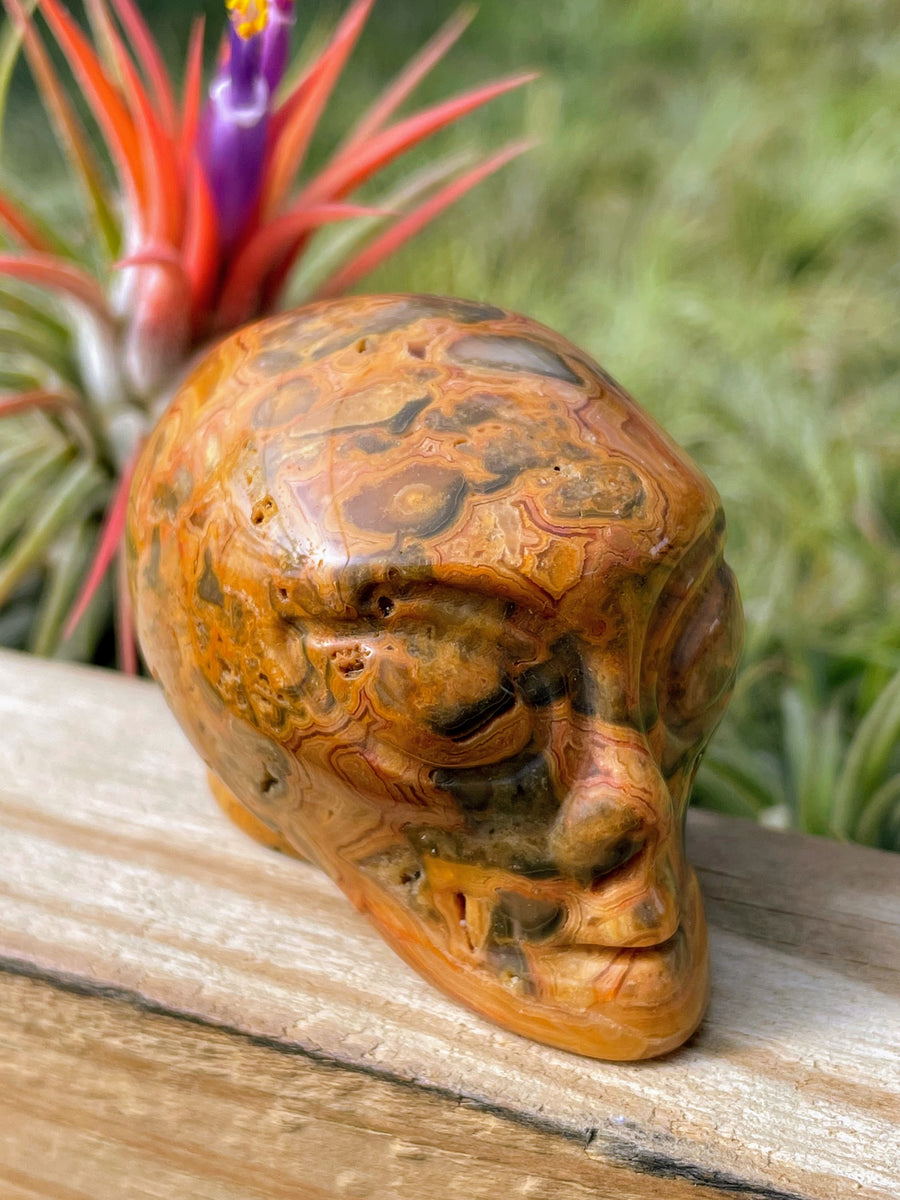 Crazy Lace Agate Alien Skull Carving