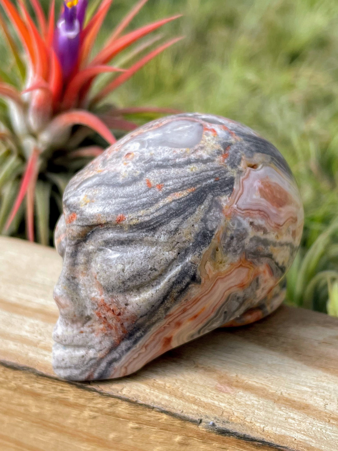 Pink Crazy Lace Agate Alien Skull Carving