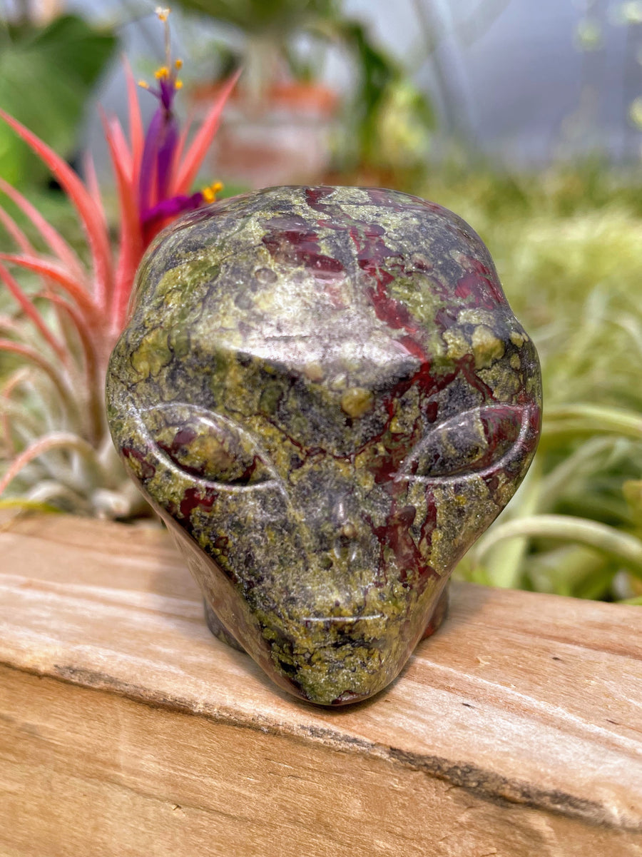 Dragon's Blood Alien Skull Carving