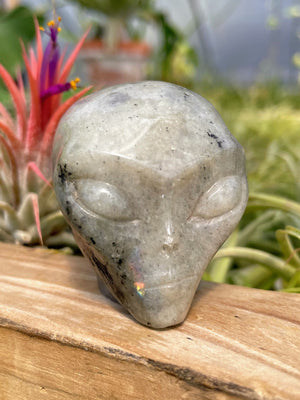 Labradorite Alien Skull Carving