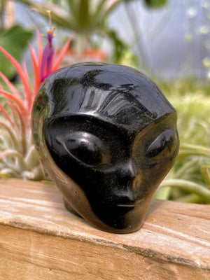Gold Sheen Obsidian Alien Skull Carving