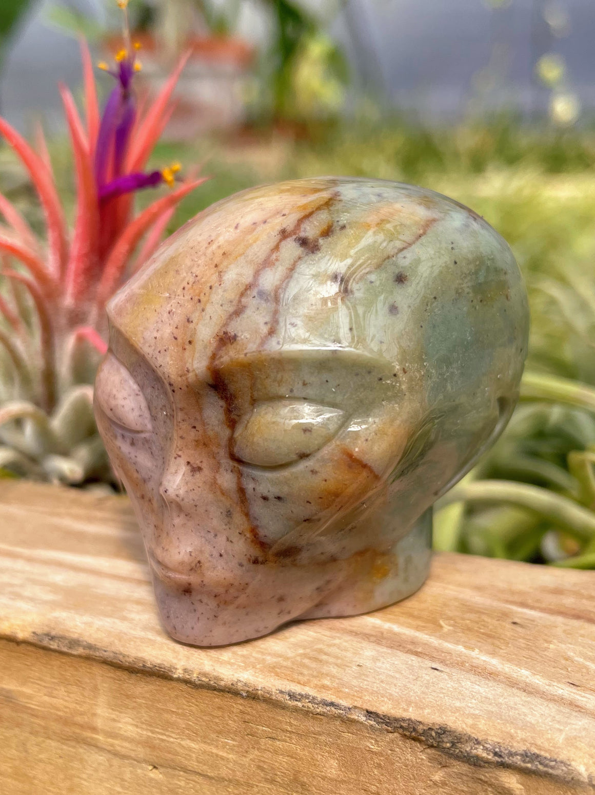 Pink Ocean Jasper Alien Skull Carving