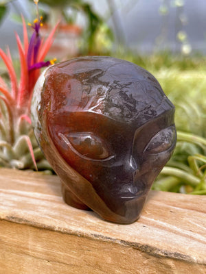 Ocean Jasper Alien Skull Carving