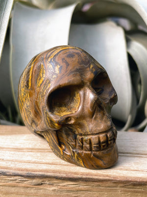 Medium Tiger's Eye Skull Carving