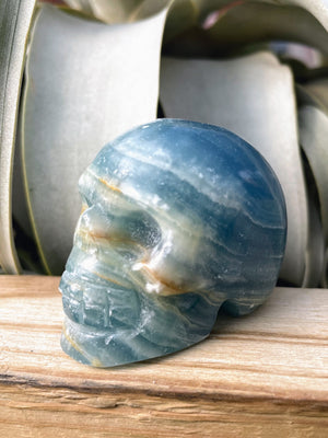 Medium Blue Onyx Skull Carving