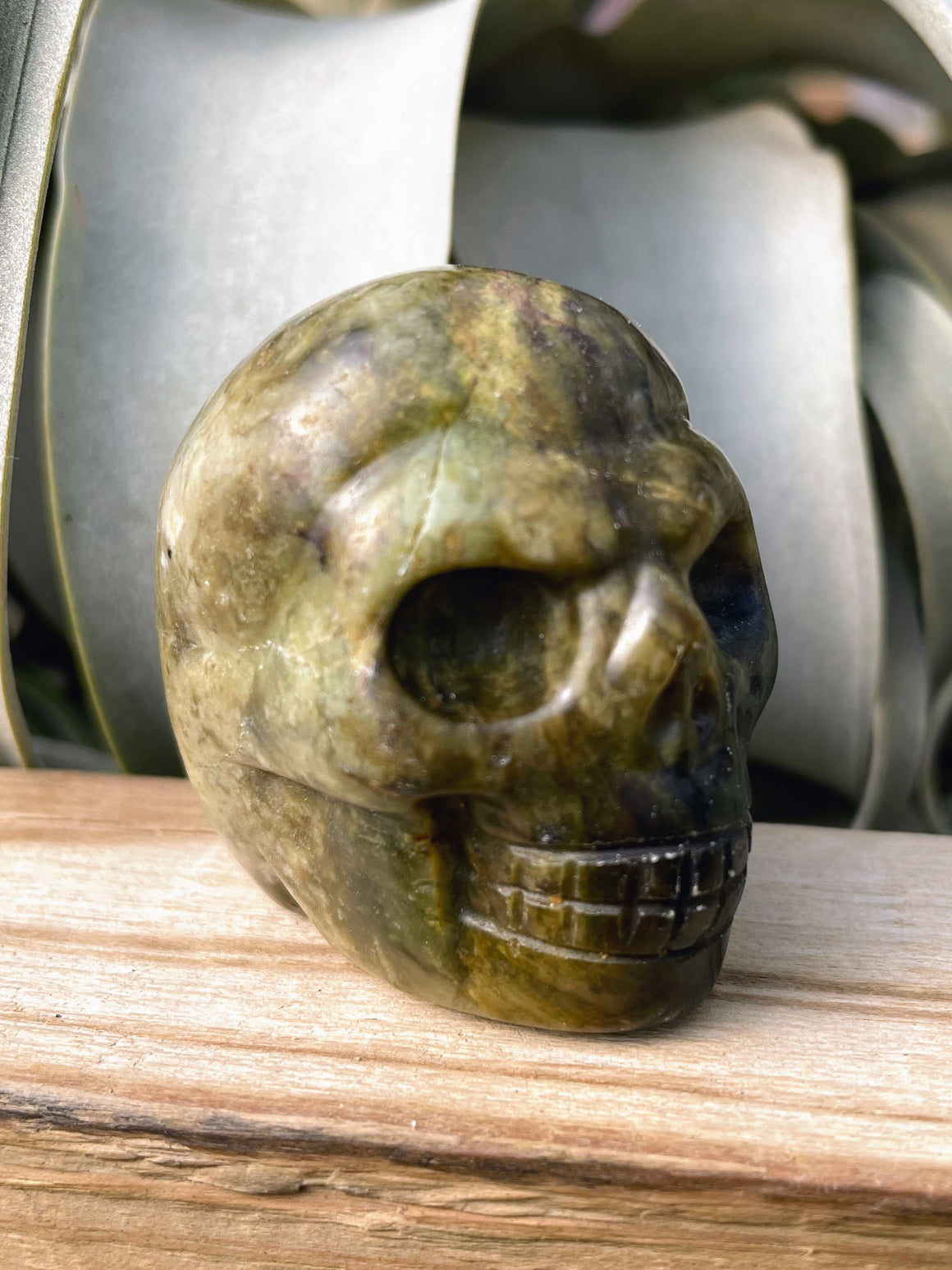 Medium Green Jade Skull Carving
