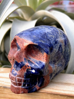 Large Sunset Sodalite Skull Carving