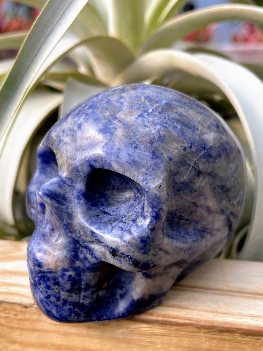 Large Lapis Lazuli Skull Carving