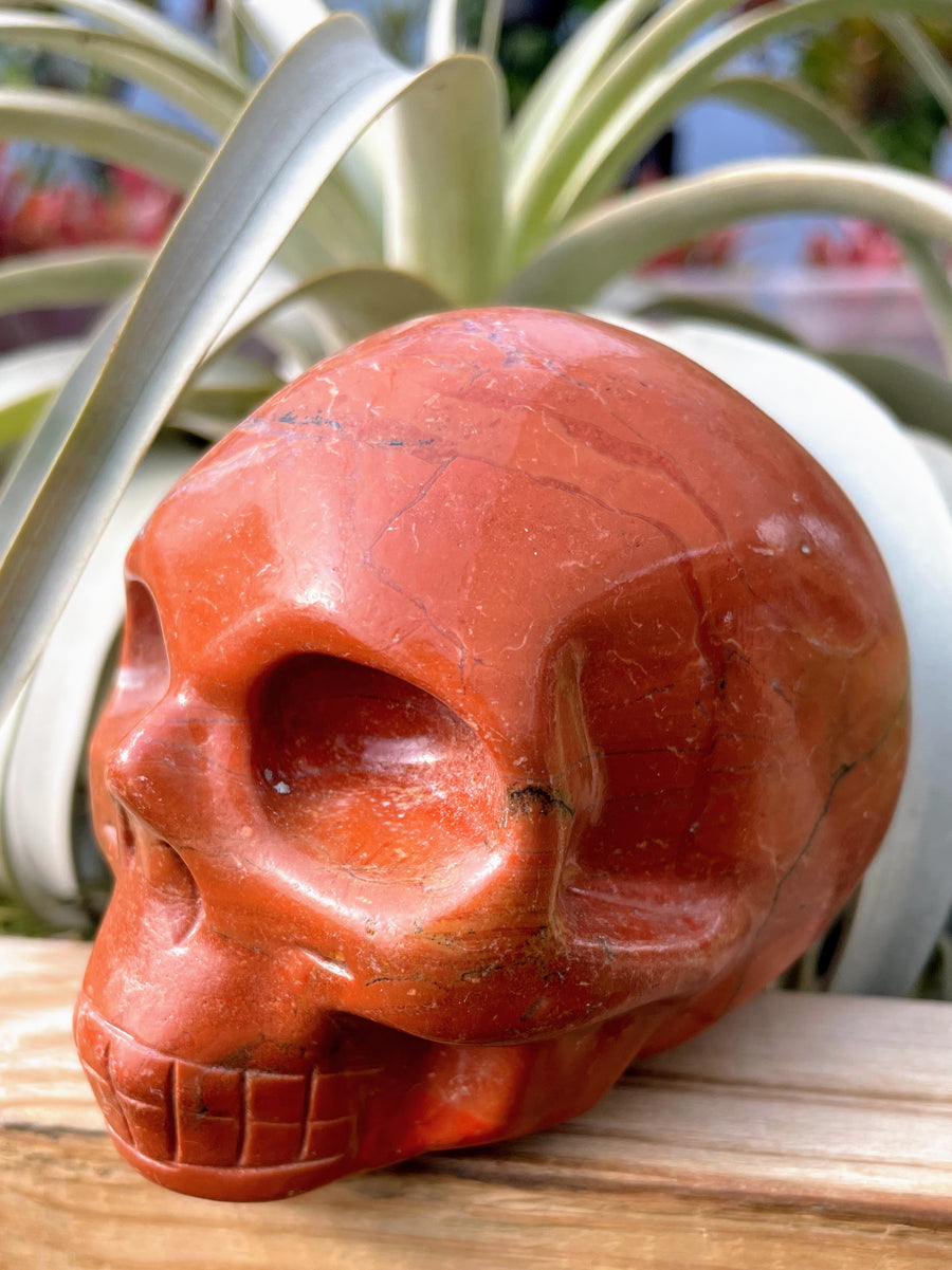 Large Red Jasper Skull Carving